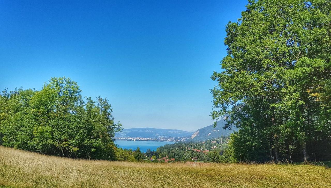Manou Du Lac Annecy Doussard Exterior photo